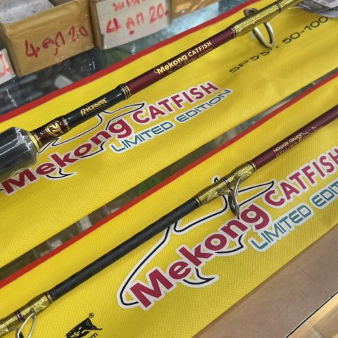 Pioneer Mekong CATFISH